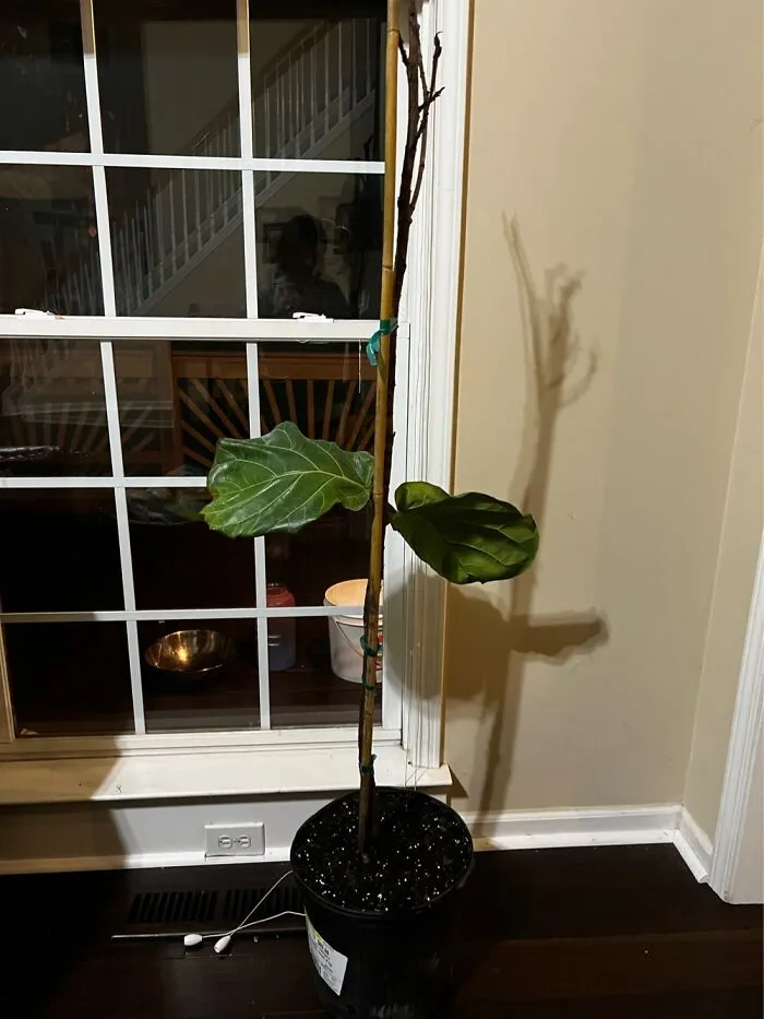 Found Her In A Dumpster, She Is On Her Way To Recovery