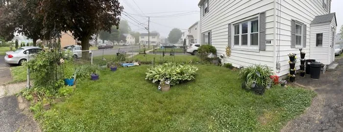 My Front Yard. If You Zoom You Will See Secrets Hidden. Let Me Know What You Find.