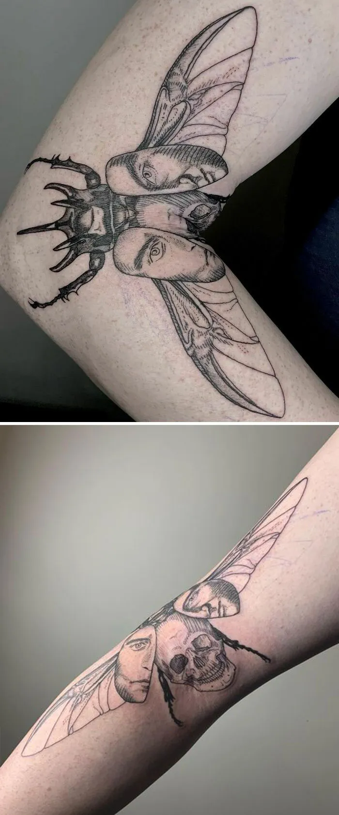 Metamorphosis