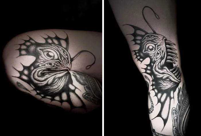 This Is Amazing