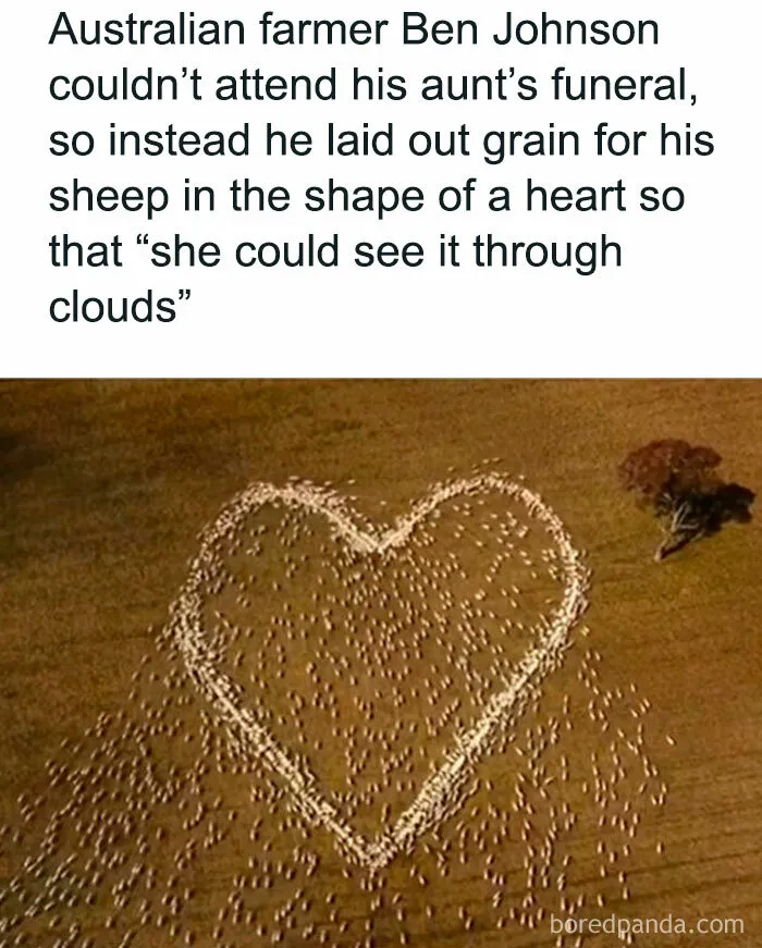 This Instagram Account Shares Uplifting News From Around The World So You Can See All The Good There Is (50 Posts)