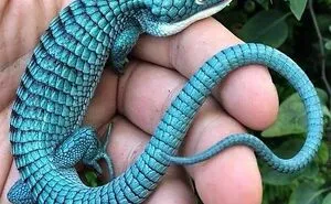 This Facebook Page Shares Magnificent And Sometimes Creepy Miracles From The Natural World (50 Pics)