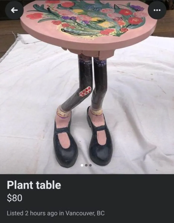 40 Hilarious And Bizarre Things For Sale Online And In Real Life That Got Shamed On This Facebook Group