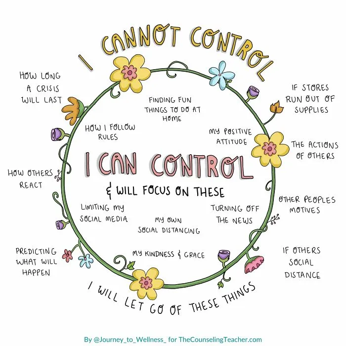 A Little Pandemic Version Of The Control Wheel