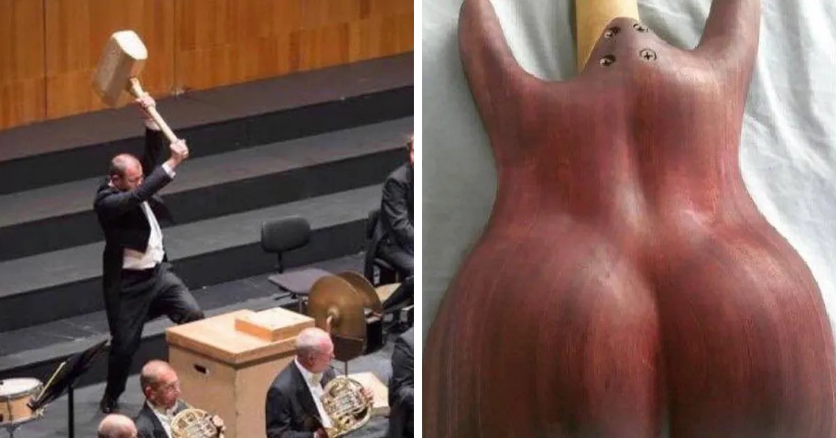 25 Imágenes divertidas y extravagantes de "instrumentos musicales con aura caótica" compartidas en Twitter