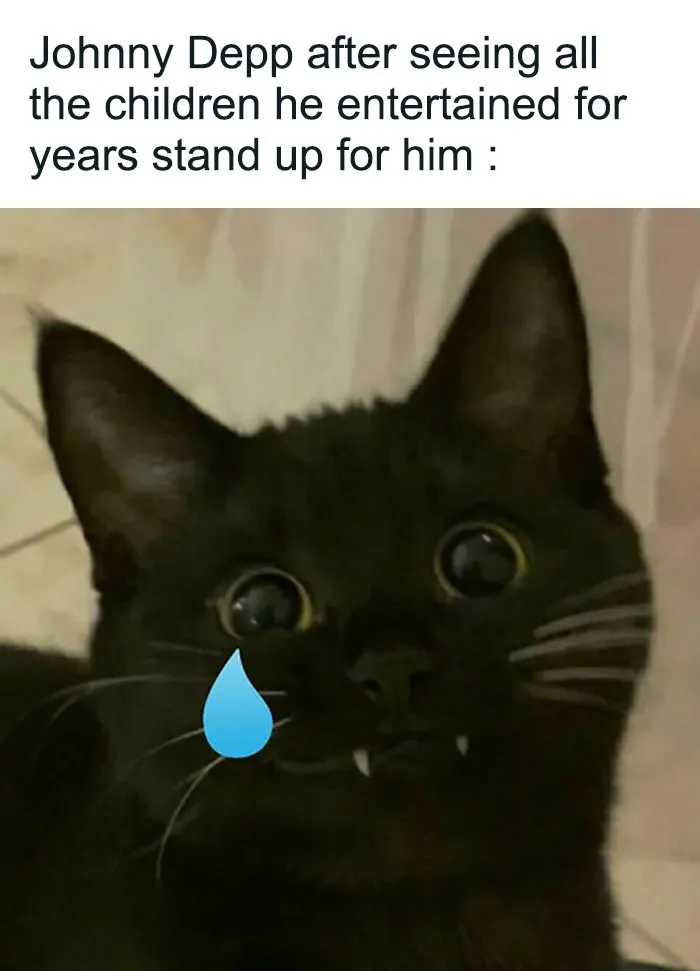 50 Of The Best Johnny Depp Vs. Amber Heard Trial Memes That Give An Alternate Perspective On What's Going On