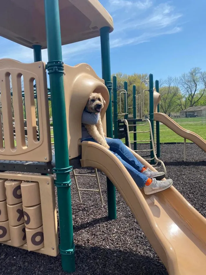 Day At The Bark