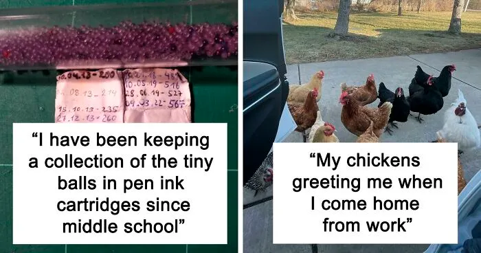 50 Times People Spotted Something ‘Mildly Interesting’ And Documented It For The Internet To See