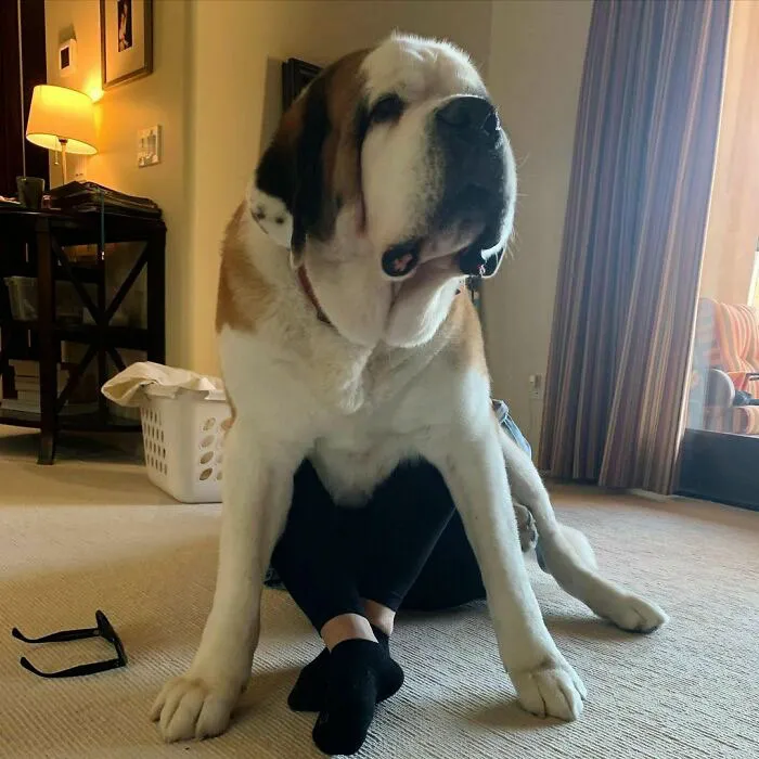The Best Seat In The House