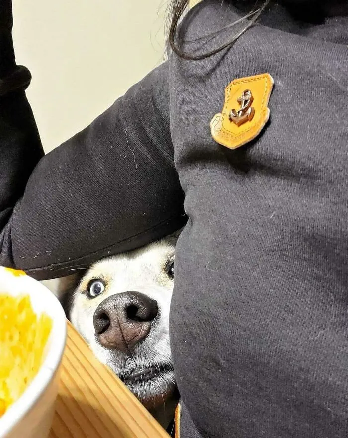 Every Bite You Take, Every Lunch You Make, Every Time You Bake, Every Piece Of Steak, I'll Be Watching You