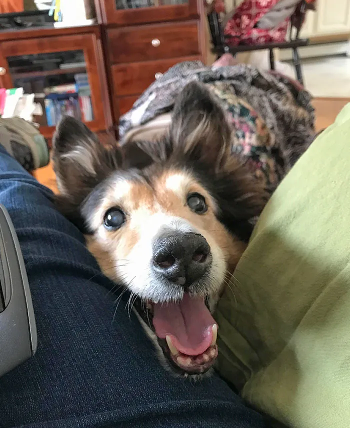 She Texted Me “He Won’t Leave Me Alone”