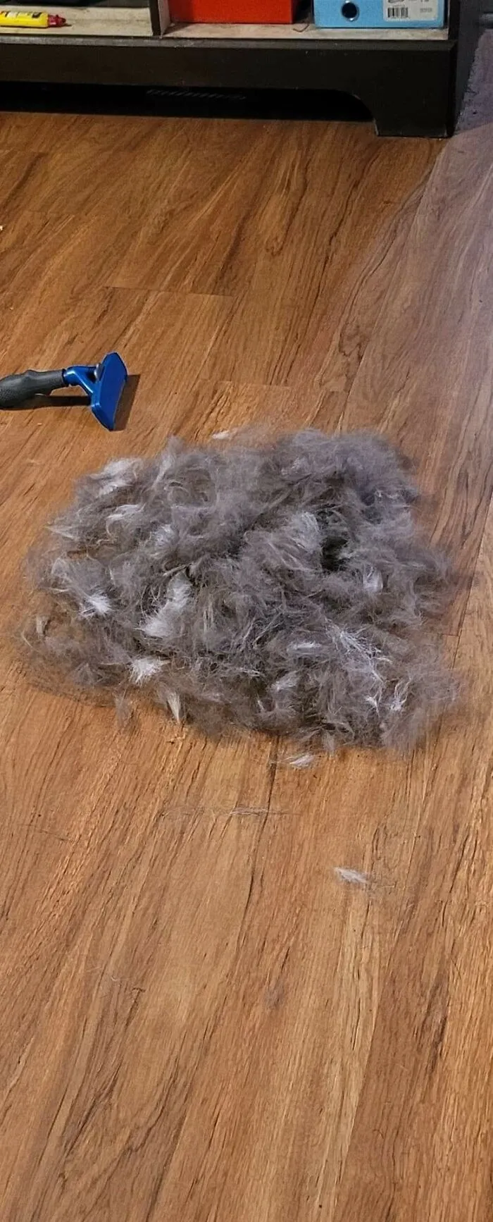 Sooo Much Fur