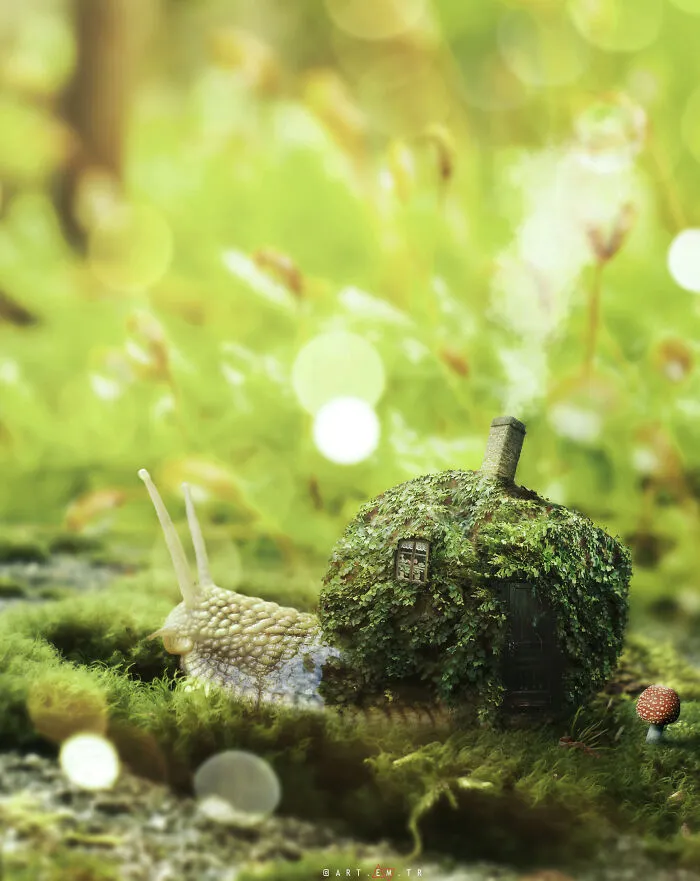 A World Where Dreams Come True (19 Pics)