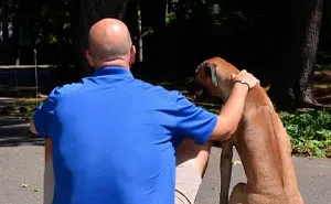 Heartfelt Tribute To Family Dog Who’d Passed Away Has Touched Thousands