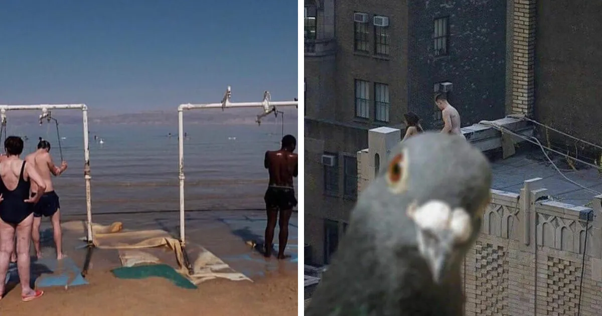 Esta cuenta de Instagram presenta divertidas fotografías urbanas y tiene más de 500 mil seguidores (30 nuevas fotos)