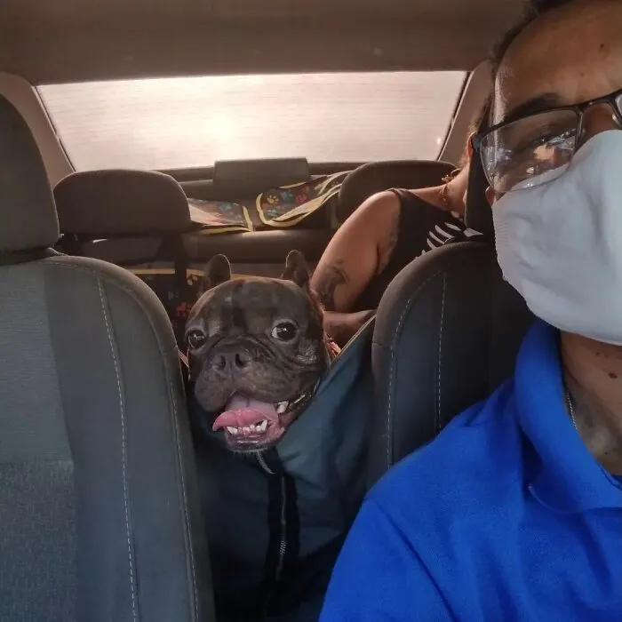 40 Selfies que este hombre se hizo con los pasajeros de su "taxi de mascotas"