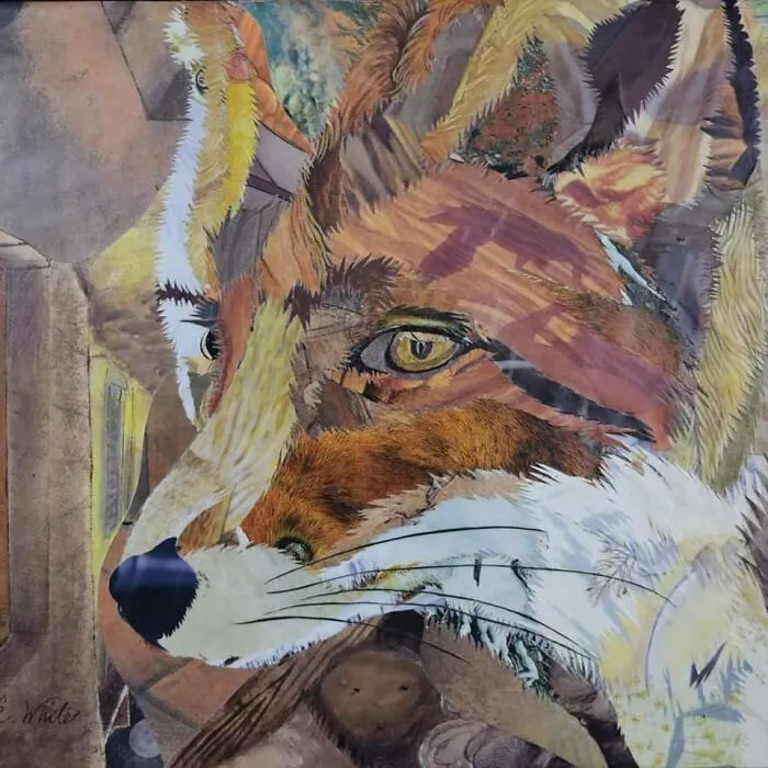Fox