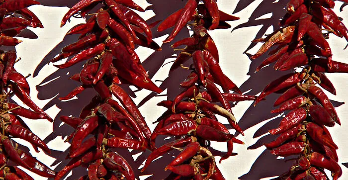 Paprika