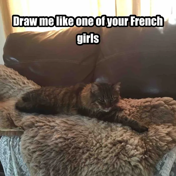 Picture Perfect