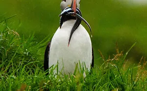 Hey Pandas, Post Your Best Nature Picture (Closed)