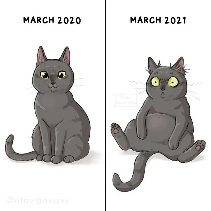"What It's Like To Have A Cat": 40 Illustrations By This Artist (New Pics)