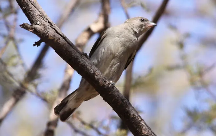35 Interesting And Weird Animal Facts Not Too Many People Know