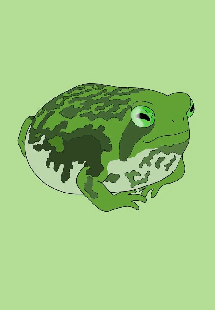 Green Froggy 🐸