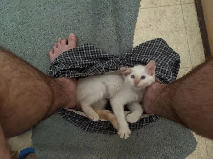 Lo mejor de adoptar un animal es no volver a tener espacio personal