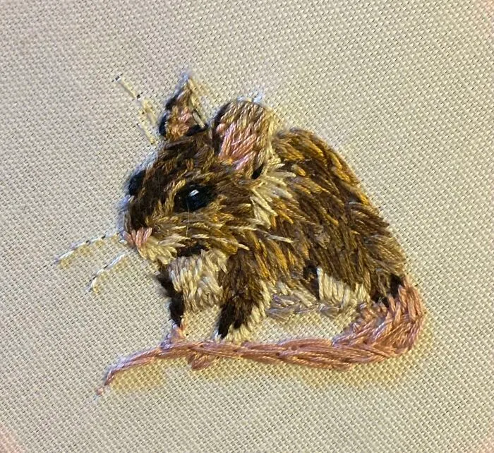 Mi primer intento de bordado. ¿Algún consejo para que no parezca tanto una pintura por números?
