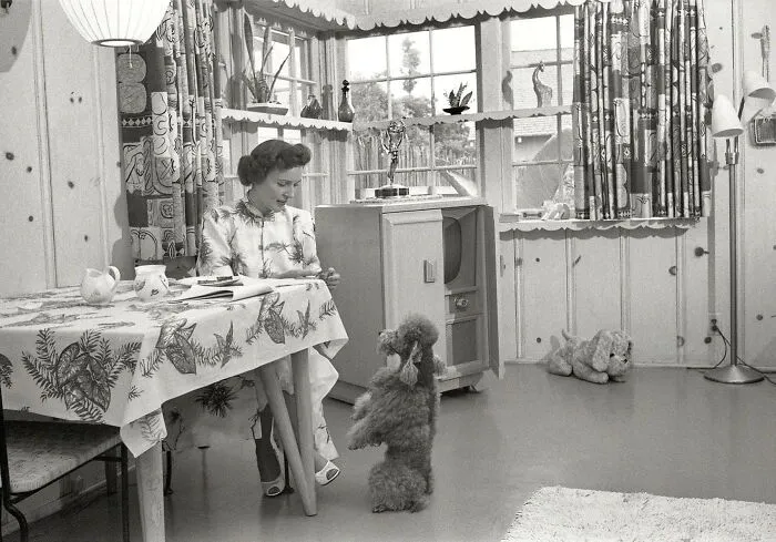 50 Important Historical Photos That Might Change Your Perspective On Things, As Shared By This Facebook Page