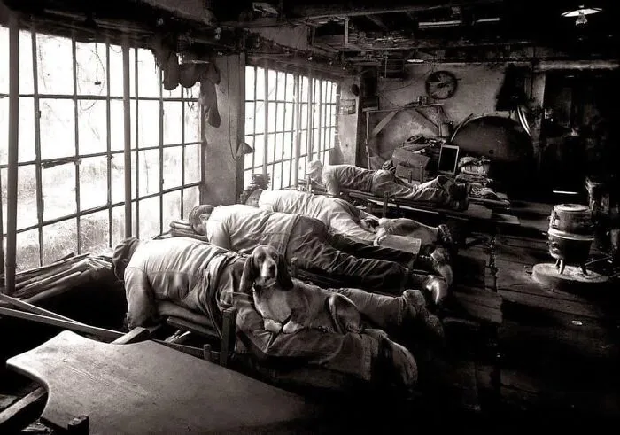 50 Important Historical Photos That Might Change Your Perspective On Things, As Shared By This Facebook Page