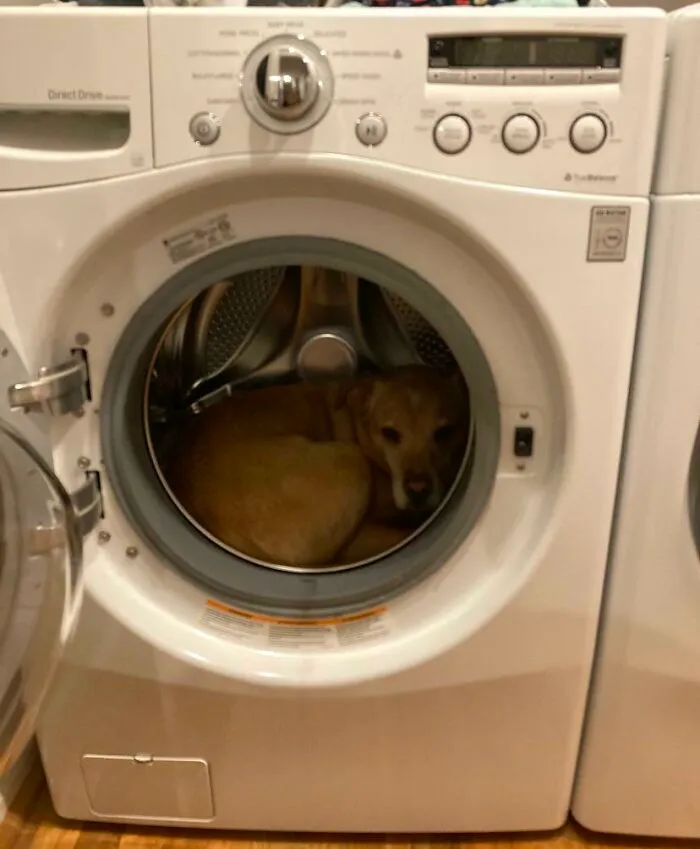 Was Looking For My Pup During A Thunderstorm