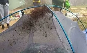 40 Times People Photographed Stuff That Nightmares Are Made Of