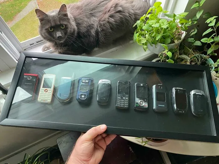 I Kept All Of My Old Cell Phones Throughout The Years. Decided To Display Them For Some Reason