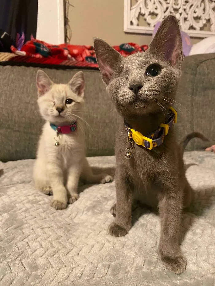 Good Names That Go With Seraphina? I Adopted These Babies From My Work And The One On The Left Is Seraphina! The One On The Right Is Yet To Have A Name