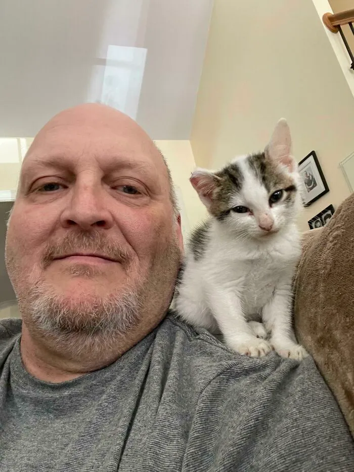 Day Three After Rescue And She’s Already Claimed Her Spot