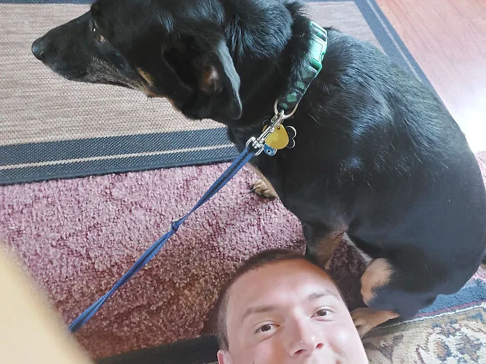 ¡Mi perro que adopté venía de un hogar abusivo, por lo general huye cada vez que trato de tomar una foto con él, pero no lo hizo esta vez! ¡En realidad me encanta cómo salió esto y quería mostrárselo a alguien!
