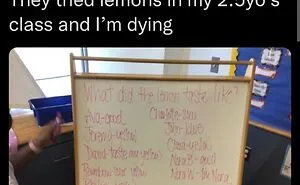 35 Of The Funniest Dumb Things Kids Have Innocently Done