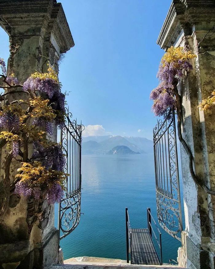 The King Ordered The Gates To The Sea Be Opened To Let The Merfolk Participate In The Festival