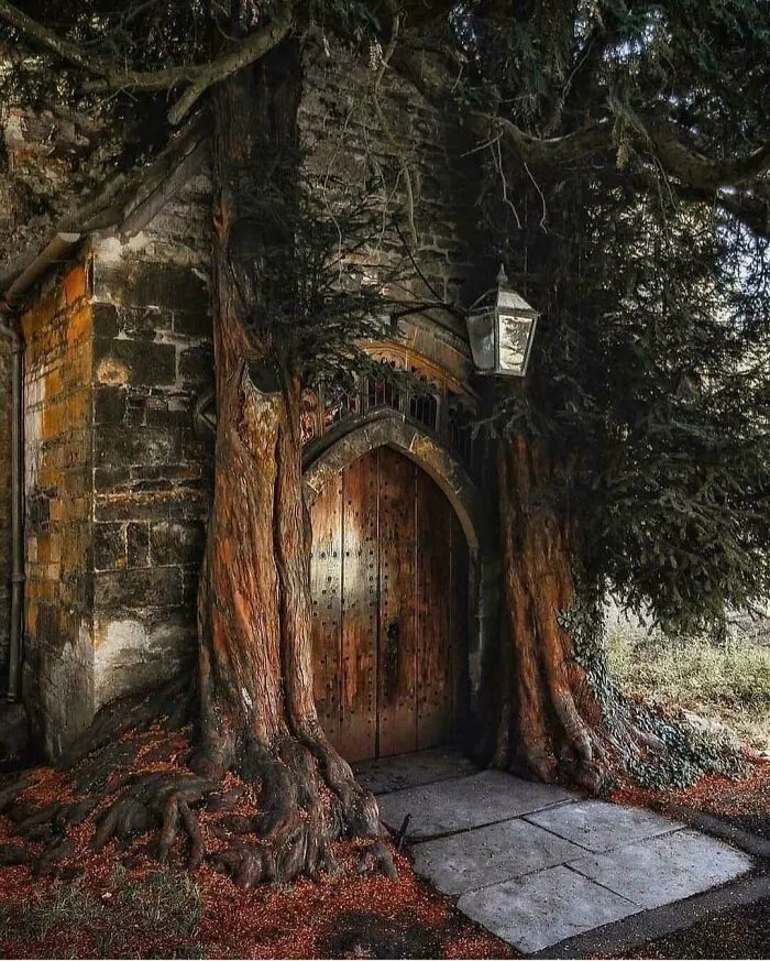 Entrance To The Witches Cottage