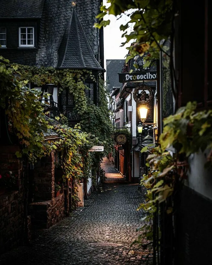 The Streets Were Empty, But The Taverns Were Full Of Merry Townsfolk And Adventurers