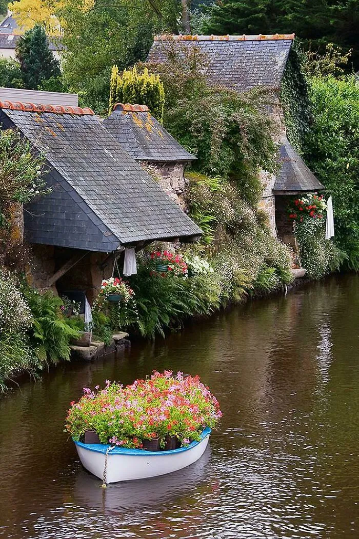 A Gardener Fell In Love With A Naiad And Offered Her Flowers Every Day