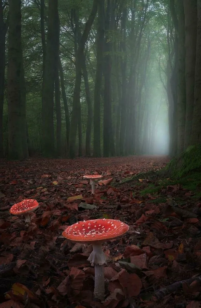 A Warning: Not All Clear Paths Are Safe