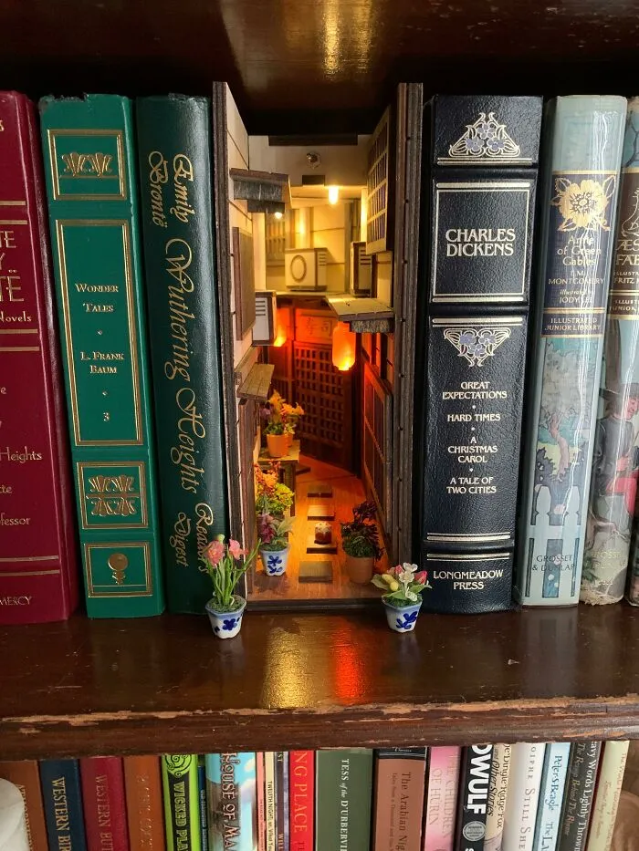 Library Fairies