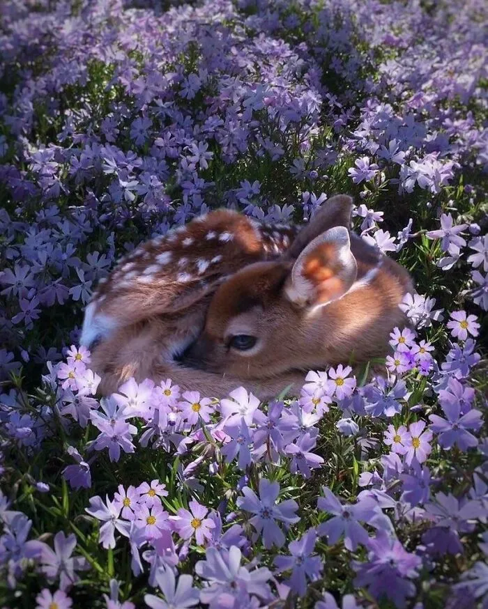 You Can Call Me Flower If You Want To