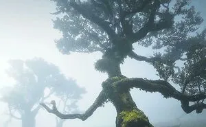 This Online Group Has People Posting "All Things That Seem Straight Out Of A Fairytale", And Here Are 40 Of Their Most Bewitching Pics