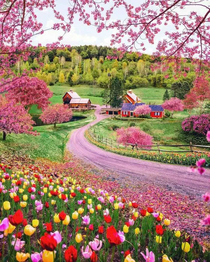 This Place Looks Soooo Majestic