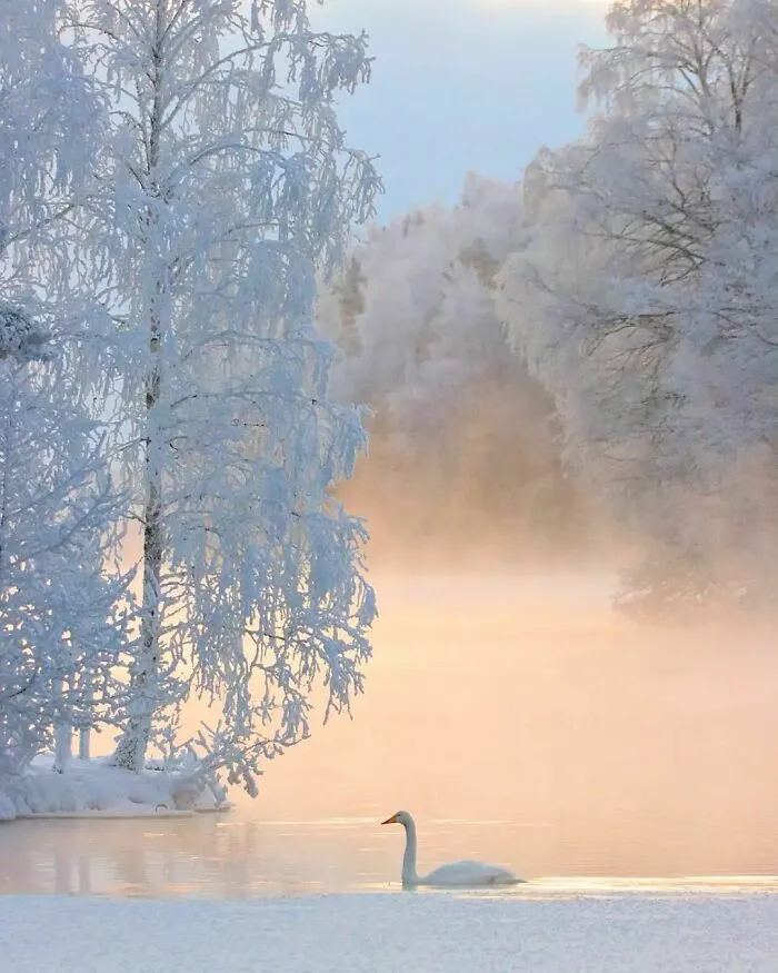 This Winter Wonderland Was His Domain... No Trespassers Were Allowed