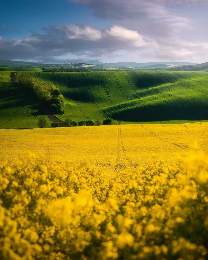 The Green Waves Washed Over The Yellow Shores