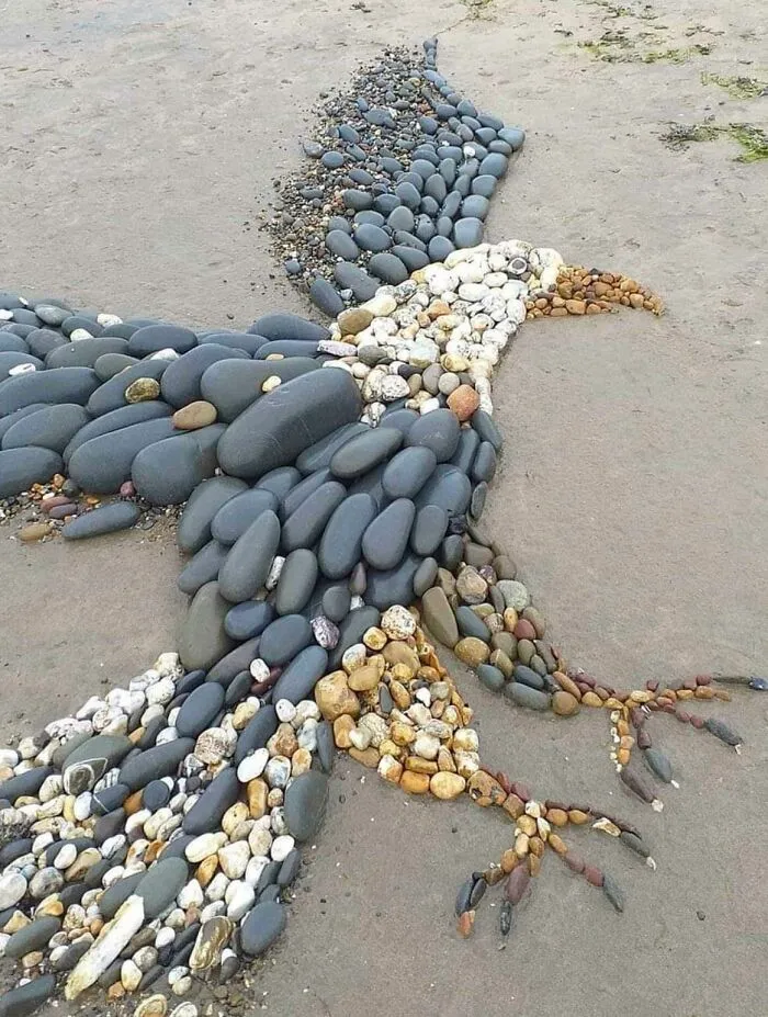 Alguien hizo esta increíble águila con piedras en una playa de Devon, Reino Unido